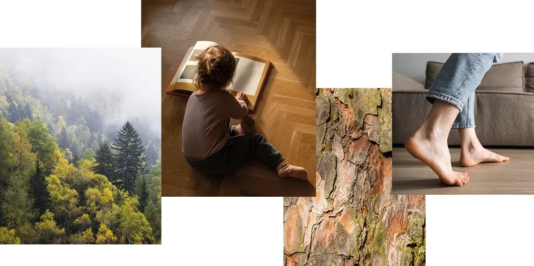 Collage aus Wald, Kind, Baumrinde und Holzboden