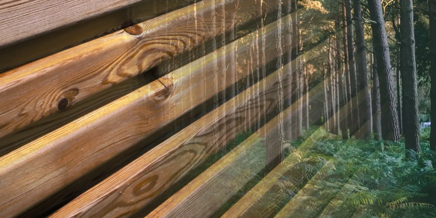 Holzfassade und Wald im Doppelbild