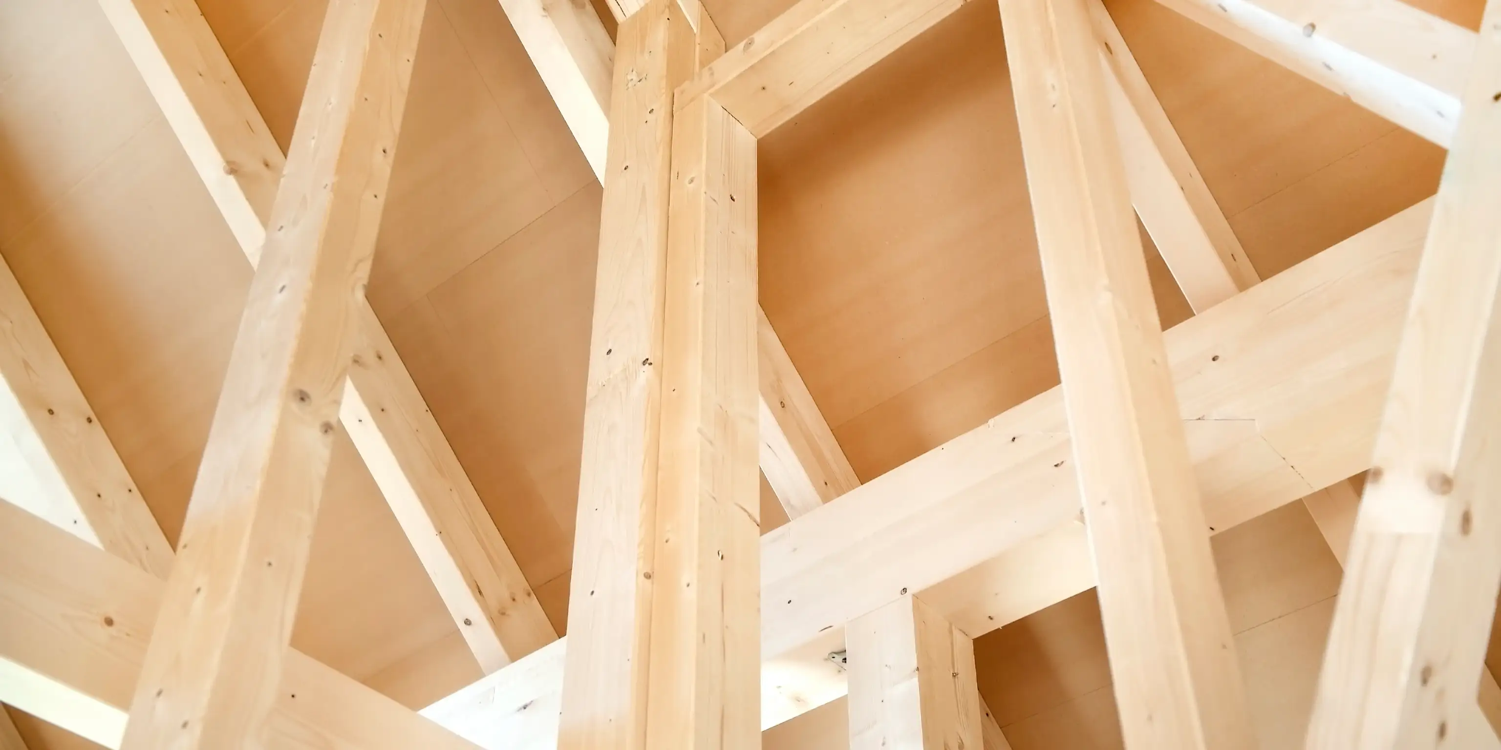 Sichtbare Holzrahmenkonstruktion, Vorteile des Holzrahmenbaus
