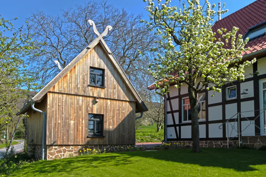 Bauen im Bestand: Holzbau neben einem Fachwerkhaus mit Pferdeköpfen am Giebel