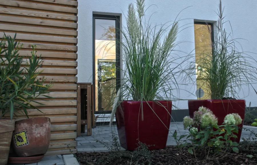 Einfamilienhaus in Hiddenhausen: Eingangsbereich mit Holzfassade und roten Pflanzkübeln